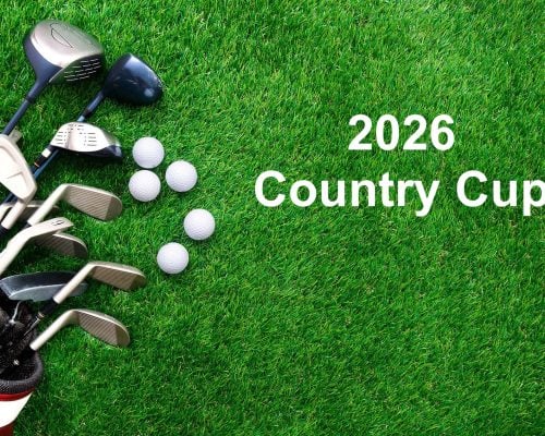Golf ball and golf club in bag on green grass